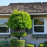 replacement windows in Yorba Linda, CA